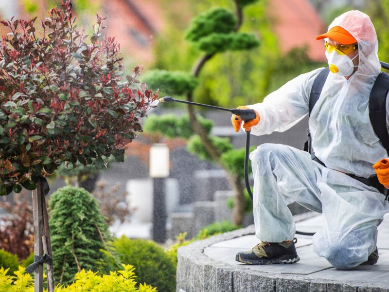 Pendik Haşere İlaçlama