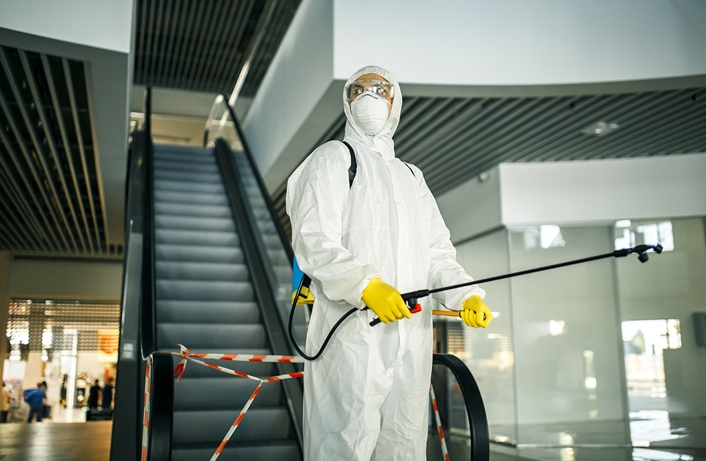 Pendik Haşere İlaçlama